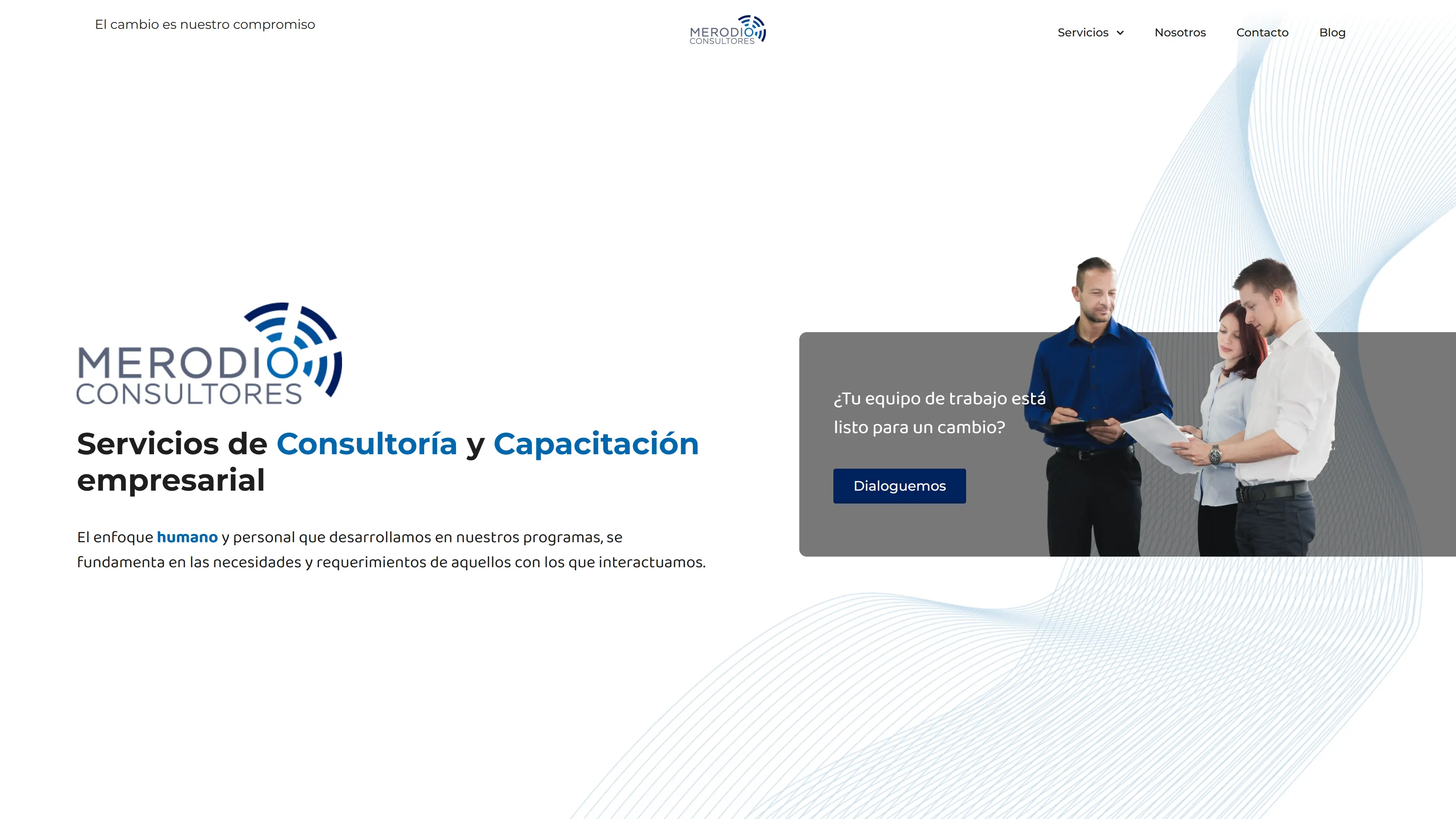 Consulting Company Website preview