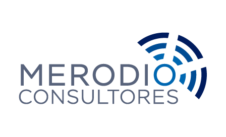 Consulting Company Website